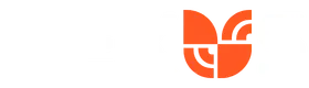 Nexus Logo Concept. Nexus Logo